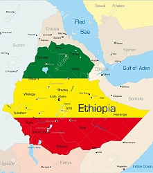 Эфиопия перешла на электронные визы